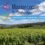 C&rsquo;est vendanges, c&rsquo;est quoi ? Reportage pour et par les jeunes