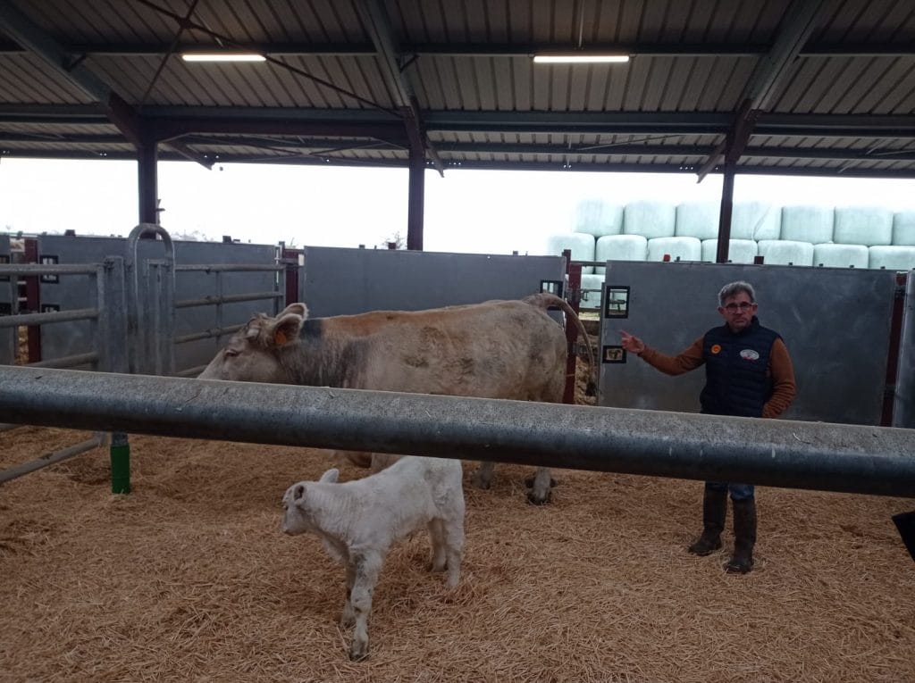 WhatsApp Image 2025-11-20 à 14.01.10_3548af80