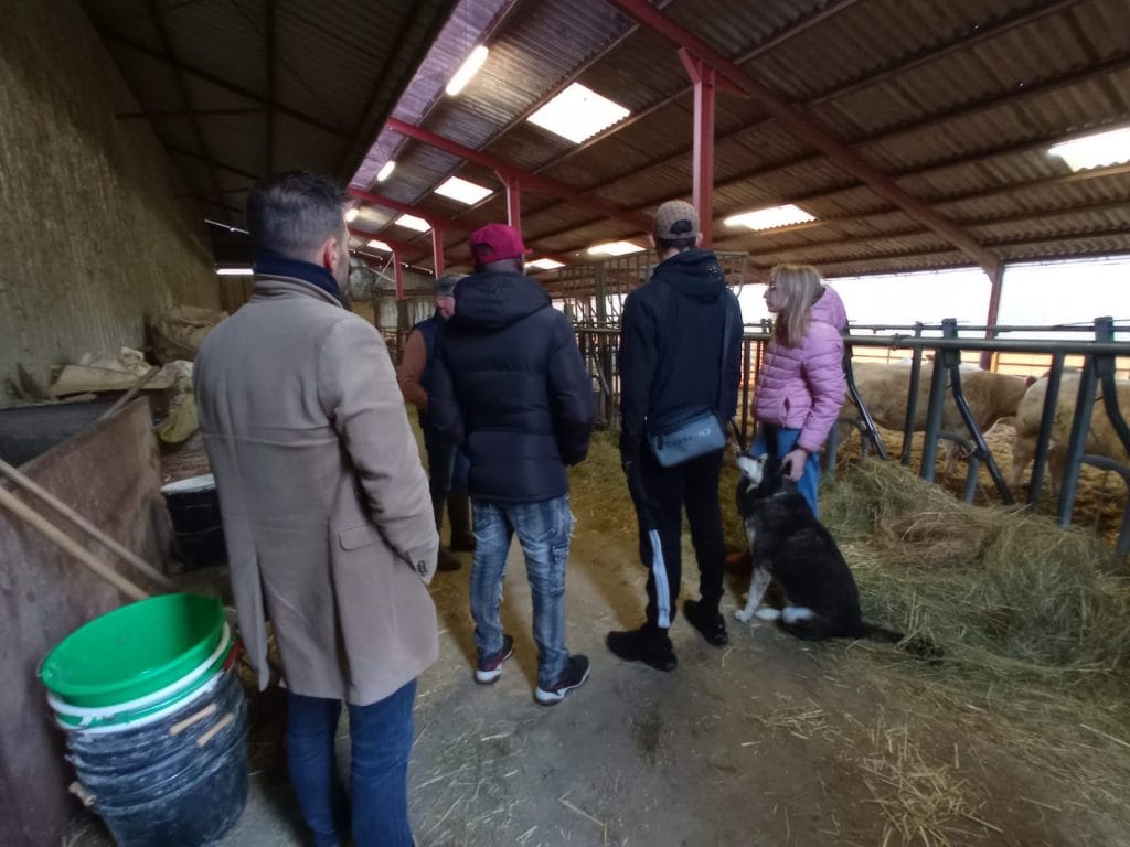 WhatsApp Image 2025-11-20 à 14.01.12_102050e2